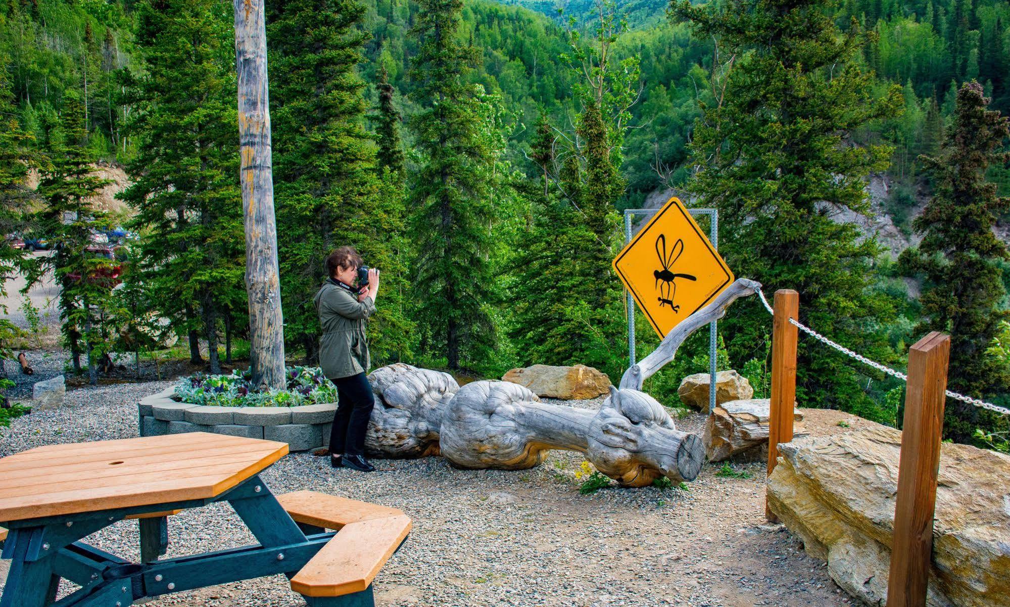 Grande Denali Lodge Denali Park Eksteriør bilde
